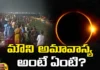 Mauni Amavasya,What is Mauni Amavasya?,NO Nonveg, Magha Amavasya, Amavasya,Donating, Maun means silence, Maagha month, Mauni Amavasya 2024, hindu mythology, hindu customs, traditions, Hindu calendar, Mango News Telugu, Mango News