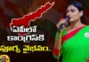 Congress in AP, applications,Jagan, Chandrababu, Pawan Kalyan, TDP, YCP, Jana Sena, BJP, Congress,Sharmila, AP Politics, AP Elections, Mango News Telugu, Mango News