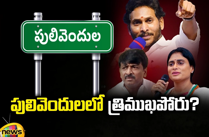 Competition between three in Pulivendula Jagan,fight Pulivendula fight, YS Jagan, Sharmila, BTech Ravi, Chandrababu, Pawan Kalyan, Vijayamma, Pulivendula,Andhra Pradesh News Updates, AP Political News, AP Politics, AP Elections,Mango News Telugu,Mango News
