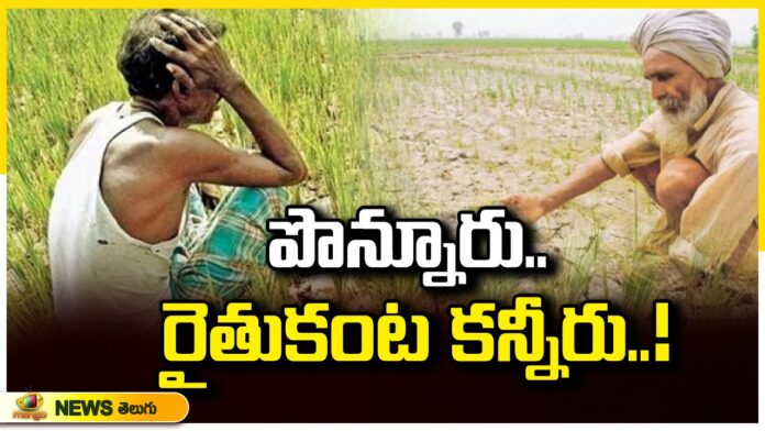 Water Issue In Ponnur Guntur District, Water Issue In Ponnur, Water Issue Guntur, Guntur District Water Issue, Water Issue In Ponnurponnur, Farmers, Water Issue, Guntur Guntur District, Guntur Water News, Guntur Water Problem, AP Live Updates, Andhra Pradesh, Political News, Mango News, Mango News Telugu