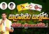 pemmasani chandrasekhar, tdp, Guntur, tdp mp candidate, YCP, assembly elections,Andhra Pradesh News Updates, AP Political News, AP Latest news and Updates, AP Politics, AP Elections,andhra pradesh,AP Political updates,Mango News Telugu, Mango News