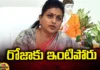 YCP leaders, Minister Roja, Nagari Minister, Tirupathi, Ycp, TDP, Congress, Janasena, Roja,Andhra Pradesh News Updates, AP Latest news and Updates, AP Politics, AP Elections,Mango News Telugu,Mango News