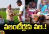 AP, volunteers, ap politics, ap elections,Jagan,andhra pradesh,Kakinada,Election Commission,Andhra Pradesh News Updates, AP Political News, AP Latest news and Updates,assembly elections,AP Political Updates,Mango News Telugu,Mango News
