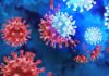 Next-Pandemic-Inevitable-Top-British-Scientist-Sir-Patrick-Vallance-Warns,Next-Pandemic-Inevitable,Top-British-Scientist-Sir-Patrick-Vallance-Warns,Pandemic,Corona, Covid19,Another Pandemic To Happen Soon,Sir-Patrick-Vallance-Warns,Carona New Varient,Scientist-Sir-Patrick-Vallance,Mango News,Mango News Telugu