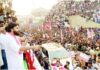Pawan Fans Came From Abroad And Voted, Pawan Fans Came From Abroad, Abroad Pawan Fans Came To Vote, Pithapuram, Pawan Fans, Came From Abroad And Voted, Jana Senani, YCP, TDP, BJP, Congress, Janasena, AP Polling, Assembly Elections, Lok Sabha Elections, AP Live Updates, AP Politics, Political News, Mango News, Mango News Telugu