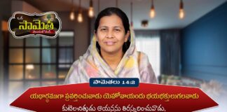Commentary On Proverbs By Shekena Glory, Shekena Glory Videos, Shekena Glory Motivatinal Videos, Shekena Glory Christian Videos, Shekena Glory, Word Of God, Daily Devotions, Christian Messages, Christian Messages 2024, Shekena Glory Messages, Telugu Christian Songs, Christian Songs, Latest Christian Songs, Telugu Christian Videos, Christian Videos Songs, Mango News, Mango News Telugu