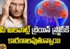 Your Habits Are The Cause Of Brain Stroke, Cause Of Brain Stroke, Brain Stroke Causes, Brain, Habits, Brain Stroke, Hypertension, High Cholesterol, Diabetes, Irregular Heart Beat, Doctors, Health News, Health Tips, Healthy Food, Food Diet, Mango News, Mango News Telugu