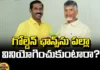 Will Palla Srinivasa Rao Use The Golden Chance?, Palla Srinivasa Rao Use The Golden Chance,Golden Chance,Palla Srinivasa Rao, AP TDP Chief, Chandrababu Naidu, Gajuwaka Mla,Modi,Jagan, Highest Polling In AP, AP Polling, AP Election Results , Assembly Elections, Lok Sabha Elections, AP Live Updates, AP Politics, Political News, Mango News, Mango News Telugu