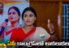 The Party Leaders Are Furious With AP Congress Chief YS Sharmila,The Party Leaders Are Furious,Leaders Are Furious, AP Congress Chief YS Sharmila,AP Congress ,AP Congress Chief YS Sharmila,Congress,YS Sharmila, Congress Leaders, Congress Chief,AP,Live Updates, Politics, Political News,Mango News,Mango News Telugu