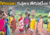 Chief Minister Chandrababu Said That Pregnant Hostels Should Be Set Up Again For The Comfort Of Tribal Women, Pregnant Hostels Should Be Set Up Again For The Comfort Of Tribal Women,Chief Minister Chandrababu ,Chandrababu Said That Pregnant Hostels Should Be Set Up Again, Pregnant Hostels ,Tribal Women,Chief Minister Chandrababu,TDP,Assembly Session,Assembly Session 2024, AP Assembly Session,Lok Sabha Elections, AP Live Updates, AP Politics, Political News, Mango News, Mango News Telugu