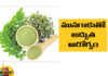 Excellent Health With Munagaku, Munagaku Health Benifits, Health With Munagaku, Drumstick Leaves Benifits, Benefits of Drinking Drumstick Leaves, Drumstick Leaves Advantages, Drumstick, Munagaku, Munaga Tree, Nutrients, Drumstick For Health, Health News, Health Tips, Healthy Food, Healthy Diet, Fitness, Mango News, Mango News Telugu