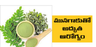 Excellent Health With Munagaku, Munagaku Health Benifits, Health With Munagaku, Drumstick Leaves Benifits, Benefits of Drinking Drumstick Leaves, Drumstick Leaves Advantages, Drumstick, Munagaku, Munaga Tree, Nutrients, Drumstick For Health, Health News, Health Tips, Healthy Food, Healthy Diet, Fitness, Mango News, Mango News Telugu