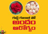 Uses Of Table Rose,Mango News Telugu,Mango News,Table Rose,Table Rose Multicolour,Table Rose Plants,Uses Of Table Rose For Hair,Uses Of Table Rose For Skin,Table Rose Colours,Table Rose For Skin Whitening,Health Tips,Skin Benefits,Table Rose Tips,Table Rose Face Mask