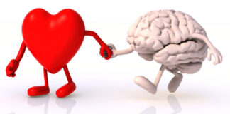 Where Does Love Originate In The Human Brain, Where Does Love Originate, Love Originate, Love Located in the Brain, The Neuroscience of Love, Love Brain Symptoms, Love and Brain Psychology, FMRI, Functional Magnetic Resonance Imaging, Love, Love Originate In The Human Brain, New Study, Health Tips, Healthy Food, Healthy Diet, Fitness, Mango News, Mango News Telugu