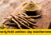Benefits Of Using Ashwagandha, Ashwagandha Benefits, Health Benefits of Ashwagandha, Ashwagandha Benefits For Men, Ashwagandha Benefits For Women, Advantages of Ashwagandha, Ashwagandha, Ashwagandha Herb, Benefits, Ashwagandha Side Effects, Ashwagandha Powder, Ayurveda Medicine, Health News, Health Tips, Healthy Food, Healthy Diet, Fitness, Mango News, Mango News Telugu