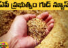 Subsidized Rice Seeds For Farmers, Seeds For Farmers, Subsidized Rice Seeds, Rice Seeds, Farmers Subsidized Rice Seeds, AP CM Chandrababu, Good News AP Govt, Minister Acchennnaidu, Good News For Farmers, Subsidized Rice Seeds To AP Farmers, Andhra Pradesh, AP Live Updates, AP Politics, Political News, Live Updates, Mango News, Mango News Telugu