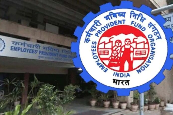 EPFO Special Insurance Scheme, Insurance Scheme, EPFO Special Scheme, Basic Salary, EPFO EDLI Scheme, EPFO EDLI Scheme Benefit?, Employees Provident Funds Scheme, Employees Deposit Linked Insurance Scheme, EPFO, EDLI, EPFO Latest News, EPFO Latest Update, India, Live Updates, Breaking News, Live News, Mango News, Mango News Telugu