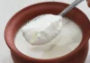Curd Is Good But Not For Them, Curd Is Good For Health, Advantages Of Eating Curd, Effects Of Eating Curd, Benifits Of Eating Curd, Curd, Curd Is Good, Curd Is Good..But Not For Them, Who Should Not Eat Curd, Yoghurt, Health News, Health Tips, Healthy Food, Healthy Diet, Fitness Tips, Mango News, Mango News Telugu
