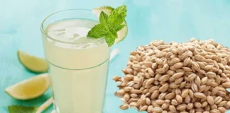 Benefits Of Barley Seeds, Barley Seeds Advantages, Barley Seeds Uses, Barley Seeds For Health, Benefits Of Barley Seeds, Drinking Barley Daily, Health Benefits of Barley, Benefits Of Barley Water, Lower Cholesterol, Blood Sugar, Health News, Health Tips, Healthy Food, Healthy Diet, Fitness Tips, Mango News, Mango News Telugu