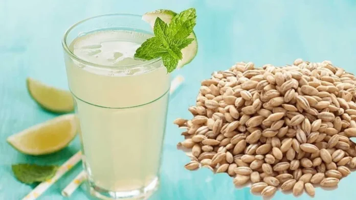 Benefits Of Barley Seeds, Barley Seeds Advantages, Barley Seeds Uses, Barley Seeds For Health, Benefits Of Barley Seeds, Drinking Barley Daily, Health Benefits of Barley, Benefits Of Barley Water, Lower Cholesterol, Blood Sugar, Health News, Health Tips, Healthy Food, Healthy Diet, Fitness Tips, Mango News, Mango News Telugu