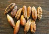 Diabetes Can Be Checked With These, Diabetes Causes, Apricot Seeds, Date Seeds Powder, Diabetes Can Be Checked, Karakkaya Juice, Nuts That Cure Diabetes, Date Seeds And Its Many Uses, Date Seeds Benefits, Date Seeds Uses, Tips For Diabetes, Health News, Health Tips, Healthy Food, Healthy Diet, Fitness, Mango News, Mango News Telugu