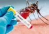 Dengue On The Rise In Telangana Three Died Yesterday, Dengue Cantrol In Telangana, Dengue Cantrol Latest News And Updates, Dengue Fever Cases, Dengue Cases Rise In Telangana, Telangana Dengue Cases, Dengue Fever Effects In Telangana, Dengue, Dengue Control In Telangana, Dengue Fever, Telangana, Fevers In Telangana, Health News, Health Tips, Healthy Food, Healthy Diet, Fitness, Mango News, Mango News Telugu