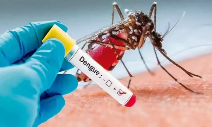 Dengue On The Rise In Telangana Three Died Yesterday, Dengue Cantrol In Telangana, Dengue Cantrol Latest News And Updates, Dengue Fever Cases, Dengue Cases Rise In Telangana, Telangana Dengue Cases, Dengue Fever Effects In Telangana, Dengue, Dengue Control In Telangana, Dengue Fever, Telangana, Fevers In Telangana, Health News, Health Tips, Healthy Food, Healthy Diet, Fitness, Mango News, Mango News Telugu