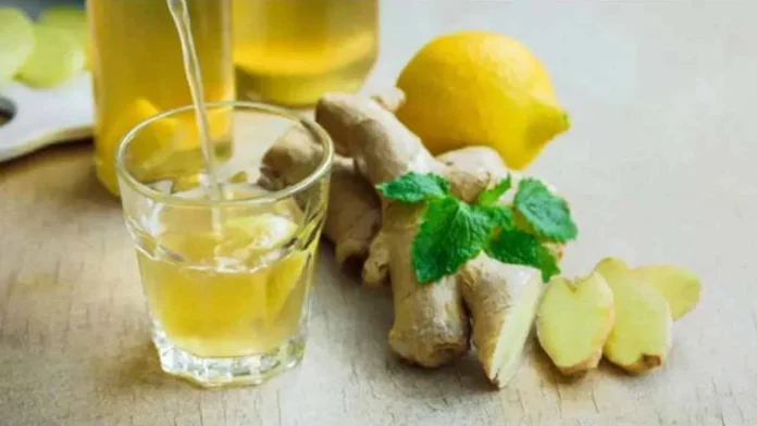 Drinking Warm Ginger Water Can Relieve Various Ailments, Drinking Warm Ginger Water, Ginger Water, Ginger Water For Health, Ginger Water Benefits, Cold Symptoms, Digestive Problems, Ginger Water, Headaches, Joint Pains And Weak Immunity, Menstrual Cramps, Muscle Pain, Nausea, Health News, Health Tips, Healthy Food, Healthy Diet, Fitness, Mango News, Mango News Telugu