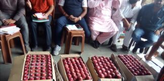 Drug Bust With Shimla Apple,Apple Merchant Drug Supply,Apples Drugs,Drug Bust In The Guise Of Apple Trade,Drugs,Mango News,Mango News Telugu,Apple,Shimla Apple,Shahi Mahatma,Whatsapp Chitta Racket,Apple Trader In Shimla,The Apple Trader Behind A Massive Drug Racket,Shimla Police Arrest Apple Trader For Running Heroin Cartel,Shimla Police Arrest Apple Trader,Apple Trader,Apple Trader News,Order On WhatsApp,Shimla Police Arrest,Shimla Police