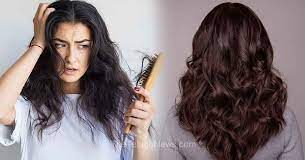 Follow These Tips To Get Rid Of Hair Problems, Get Rid Of Hair Problems, Hair Problems, Black, Hair Fall, Hair Tips, Thick Hair, Common Hair Problems, Hair Loss Tips, Home Remedies for Dry Hair, Tips For Black Hair, Black Hair Tips, Health News, Health Tips, Healthy Food, Healthy Diet, Fitness, Mango News, Mango News Telugu