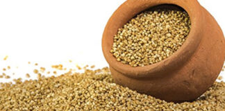 Health Benefits Of Fringes, Benefits Of Fringes, Fringes Benefits, Health Benefits, Fringes For Health, Fringes Advantages, Fringes Uses, For Health, Korras, Sajjas, Small Grains Such As Ragu, Sorghum, Health News, Health Tips, Healthy Food, Healthy Diet, Fitness, Mango News, Mango News Telugu
