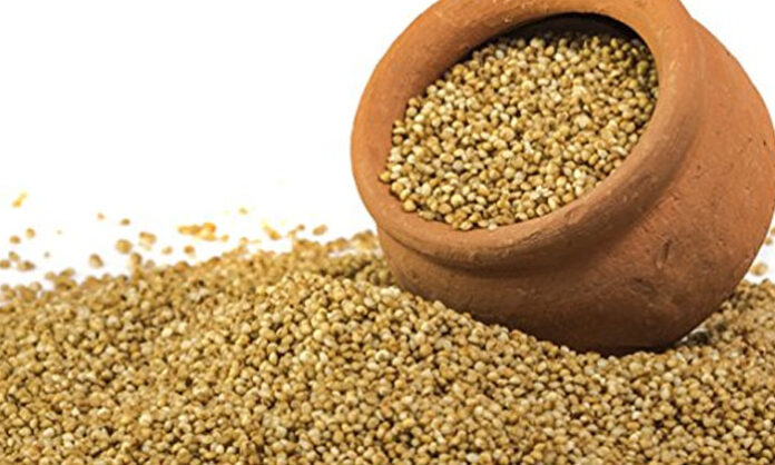 Health Benefits Of Fringes, Benefits Of Fringes, Fringes Benefits, Health Benefits, Fringes For Health, Fringes Advantages, Fringes Uses, For Health, Korras, Sajjas, Small Grains Such As Ragu, Sorghum, Health News, Health Tips, Healthy Food, Healthy Diet, Fitness, Mango News, Mango News Telugu