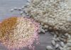 You Will Be Surprised To Know The Benefits Of Sesame Seeds, Benefits Of Sesame Seeds, Sesame Seeds Benefits, Sesame Seeds Advantages, Sesame Seeds For Health, Benefits of White Sesame Seeds, Black Sesame Seeds, If Nutrients Are Abundant Sesame Seeds, Sesame Seeds, Health, Health News, Health Tips, Healthy Food, Healthy Diet, Fitness, Mango News, Mango News Telugu
