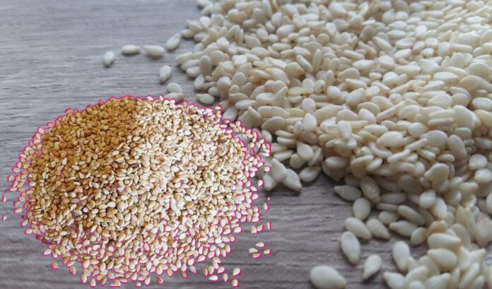 You Will Be Surprised To Know The Benefits Of Sesame Seeds, Benefits Of Sesame Seeds, Sesame Seeds Benefits, Sesame Seeds Advantages, Sesame Seeds For Health, Benefits of White Sesame Seeds, Black Sesame Seeds, If Nutrients Are Abundant Sesame Seeds, Sesame Seeds, Health, Health News, Health Tips, Healthy Food, Healthy Diet, Fitness, Mango News, Mango News Telugu