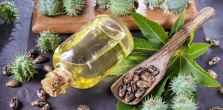 Castor Oil Is Not Only For Health But Also For Beauty, Advantages Of Castor Oil, Health Benefits Of Castor Oil, Castor Oil Benefits, Effects Of Benefits, Benefits Of Castor Oil, Castor Oil, Castor Oil For Health But Also For Beauty, Health, Health Tips, Healthy Food, Healthy Diet, Fitness, Mango News, Mango News Telugu