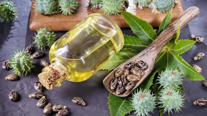 Castor Oil Is Not Only For Health But Also For Beauty, Advantages Of Castor Oil, Health Benefits Of Castor Oil, Castor Oil Benefits, Effects Of Benefits, Benefits Of Castor Oil, Castor Oil, Castor Oil For Health But Also For Beauty, Health, Health Tips, Healthy Food, Healthy Diet, Fitness, Mango News, Mango News Telugu
