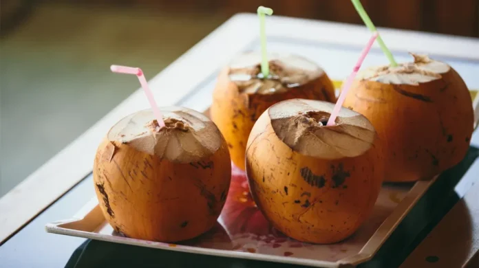 Do Not Make These Mistakes While Drinking Coconut Water, Coconut Water Is Good For Health, Drinking Coconut Water, Mistakes While Drinking Coconut Water, Healthy Ways Of Drinking Water, Health Benefits And Risks Of Coconut Water, Common Mistakes While Coconut Drinking Water, Benefits Of Drinking Coconut Water, Advantages of Drinking Coconut Water, Health, Health News, Health Tips, Healthy Food, Healthy Diet, Fitness, Mango News, Mango News Telugu