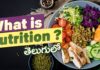 Why Are Nutrients Important, Nutrient Growth Development, Latest Telugu Health Tips, Mango Life, Nutrient Growth & Development, Nutrients Important, Nutrients For Body, Health News, Health Tips, Healthy Food, Healthy Diet, Fitness, Mango News, Mango News Telugu