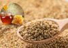 Do You Know The Benefits Of Eating Sesame And Honey, Eating Sesame And Honey, Benefits Of Eating Sesame And Honey, Eating Sesame, Honey, Honey Benefits, Benefits Of Eating Sesame, Benefits Of Eating Sesame And Honey, Sesame, Sesame Has Many Uses For Women, Healthy Food, Health News, Fitness, Healthy Diet, Mango News, Mango News Telugu