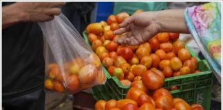 The Price Of A Kilogram Of Century Hit Tomato, Century Hit Tomato, Price Of A Kilogram Tomato, Huge Increase In Tomato Price, Increased Tomato Price, Onion Price, Price Of Onion, Tomato Prices Hit A Century, Tomato Hits Rs 100 Per Kg, Tomato Price Touches Hundered, Tomato Price Increased, Vegitable Price Increased, Vegitables, Health Tips, Healthy Food, Healthy Diet, Fitness, Mango News, Mango News Telugu