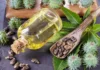 Castor Oil Is Not Only For Health But Also For Beauty, Advantages Of Castor Oil, Health Benefits Of Castor Oil, Castor Oil Benefits, Effects Of Benefits, Benefits Of Castor Oil, Castor Oil, Castor Oil For Health But Also For Beauty, Health, Health Tips, Healthy Food, Healthy Diet, Fitness, Mango News, Mango News Telugu