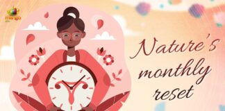 Menstrual Cycle What You Need To Know A Guide To The Phases, Menstrual Cycle Phases, Phases Of Menstrual Cycle, Healthtips 2024, Mango Life, Menstrual Cycle, Menstrual Tips, Menstrual Problems, Periods Tips, Menstrual Cramps, Muscle Pain, Health News, Health Tips, Healthy Food, Healthy Diet, Fitness, Mango News, Mango News Telugu