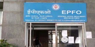 EPFO Dont Remember UAN Number Check PF Amount Like This, Check PF Amount Like This, PF Amount Check, Check PF Amount, EPFO, UAN Number, UMANG, EPFO Latest News, EPFO Latest Insurance Scheme, Employe Provident Funds Scheme, PF Amount, Employees, Governament Provident Funds, Live Updates, Breaking News, Live News, Mango News, Mango News Telugu