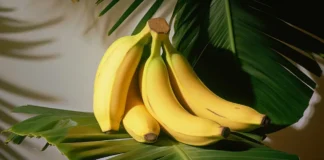 These Foods Can Change Your Mood, Foods Can Change Your Mood, Mood Change Foods, Are You In A Good Mood?, Change Your Mood, Good Mood, Healthy Mood-Boosting Foods, Foods To Uplift Your Mood, Mood Boosting Foods, Good Mood Foods, Health, Health News, Health Tips, Healthy Food, Healthy Diet, Fitness, Mango News, Mango News Telugu