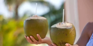 Coconut Water Is Good, But Drinking Too Much Can Definitely Cause These Health Issues!, Drinking Too Much Coconut Water Is Not Good, Effect Of Coconut Water, Coconut Water Health Effects, Coconut Water, You Drink Coconut Water Too Much, You Will Get These Diseases, ealth Benefits And Risks Of Coconut Water, Common Mistakes While Coconut Drinking Water, Benefits Of Drinking Coconut Water, Advantages of Drinking Coconut Water, Health, Health News, Health Tips, Healthy Food, Healthy Diet, Fitness, Mango News, Mango News Telugu