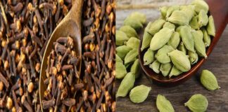 Are You Suffering From Cough And Cold, Cough And Cold, Suffering From Cough And Cold, Suffering From Cough, Cardamom, Cloves Powder, Ginger, Suffering From Cough And Cold, Winter Health, Remedies For Cough And Cold, Health, Health Tips, Healthy Food, Healthy Diet, Fitness, Mango News, Mango News Telugu