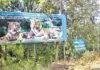Evacuation Of Villages Within The Tiger Reserve, Evacuation Of Villages, Villages Within The Tiger Reserve, Tiger Reserve Villages, Kawal Tiger Reserve, Kawal Tiger Reserve, Telangana Government, The Tiger Reserve, Tiger, Hyderabad Live Updates, Latest Hyderabad News, Telangana, TS Politics, TS Live Updates, Political News, Mango News, Mango News Telugu
