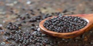 Do You Know How Many Benefits There Are With Mustard Seeds, Benefits Of Mustard Seeds, Health Benefits Of Mustard Seeds, Advantages Of Mustard Seeds, Mustard Seeds Benefits, Mustard Seeds Uses, Black Mustard Seeds Benefits, Best Food Items, Mustard Seeds, Health, Health News, Health Tips, Healthy Food, Healthy Diet, Fitness, Mango News, Mango News Telugu