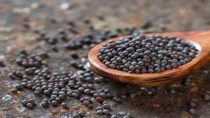 Do You Know How Many Benefits There Are With Mustard Seeds, Benefits Of Mustard Seeds, Health Benefits Of Mustard Seeds, Advantages Of Mustard Seeds, Mustard Seeds Benefits, Mustard Seeds Uses, Black Mustard Seeds Benefits, Best Food Items, Mustard Seeds, Health, Health News, Health Tips, Healthy Food, Healthy Diet, Fitness, Mango News, Mango News Telugu
