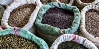Stomach Relieving Pulses, Pulses, Fenugreek, Red Lentils, Stomach Relieving, Belly Fat, Weight Loss, Weight Loss Tips, Weight Loss Meal Plan, Faster Way To Fat Loss, Weight Loss Food, Health News, Health Tips, Healthy Food, Healthy Diet, Fitness, Mango News, Mango News Telugu